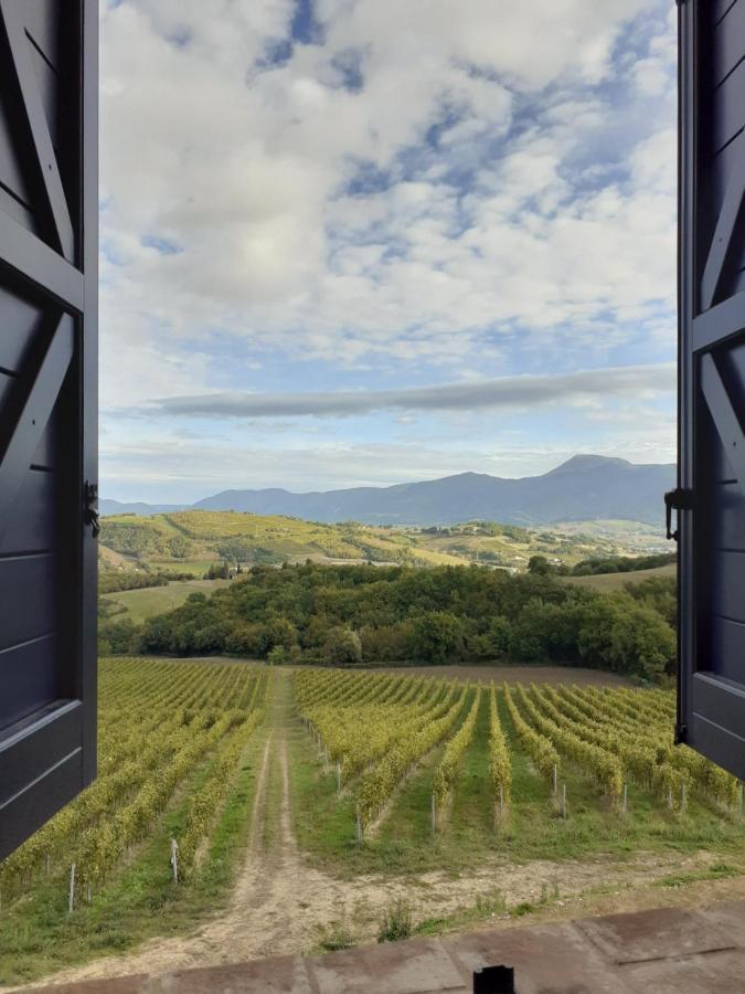 Tenuta Grimaldi Wine Resort Matelica Zewnętrze zdjęcie