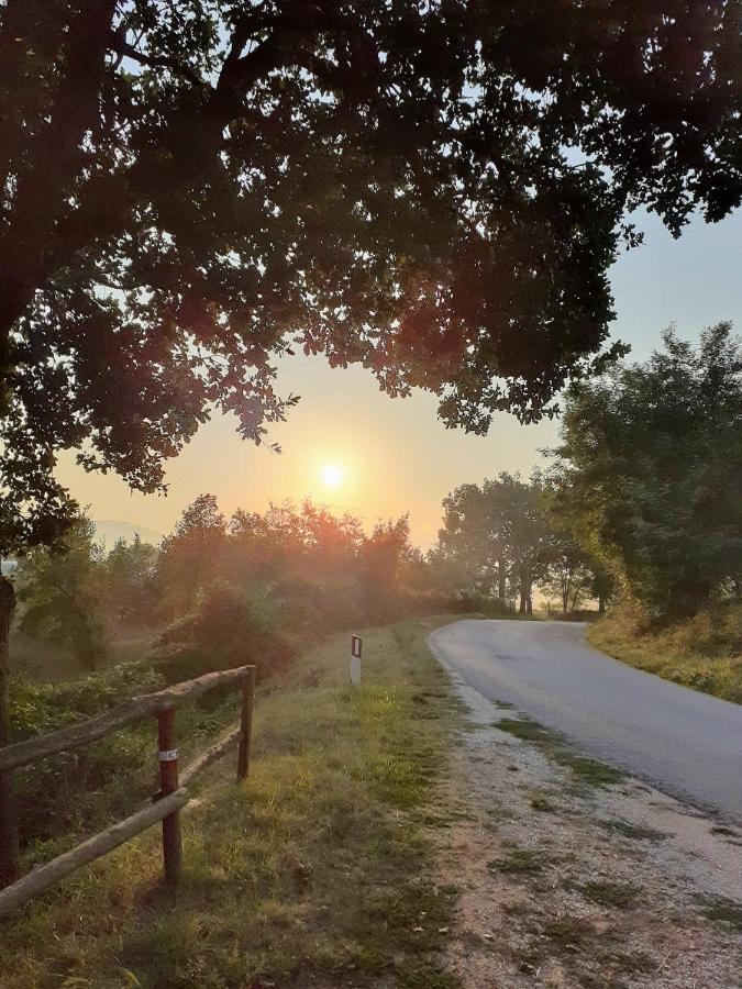 Tenuta Grimaldi Wine Resort Matelica Zewnętrze zdjęcie