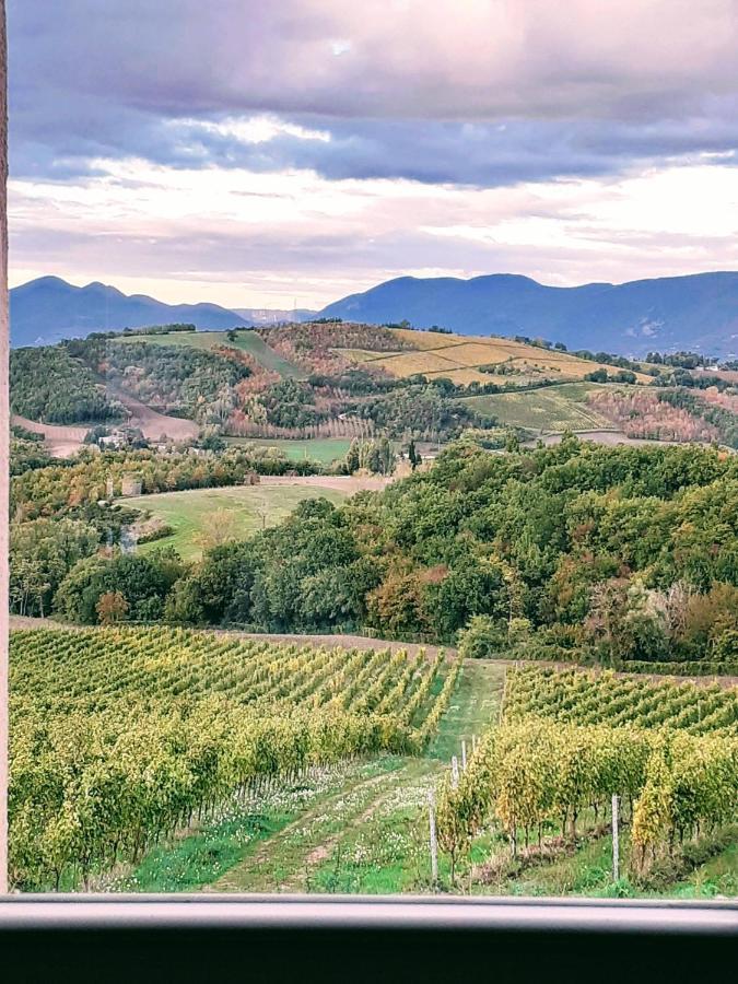 Tenuta Grimaldi Wine Resort Matelica Zewnętrze zdjęcie