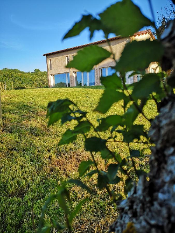 Tenuta Grimaldi Wine Resort Matelica Zewnętrze zdjęcie