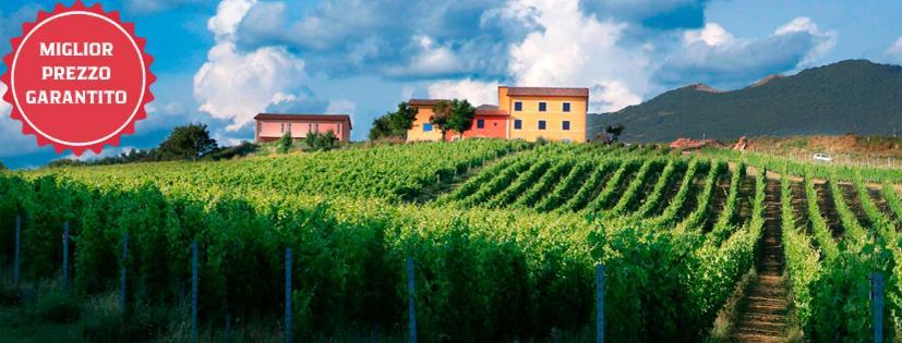 Tenuta Grimaldi Wine Resort Matelica Zewnętrze zdjęcie